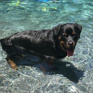 Meet your Posher, Joann